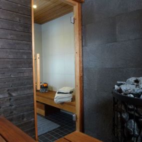 Remontoitu tumma sauna 
